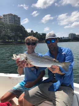 Speckled Trout / Spotted Seatrout fishing in Sarasota, Florida