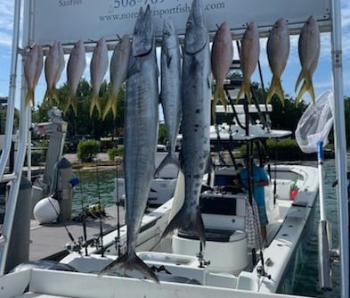 Barracuda, Wahoo, Yellowtail Snapper Fishing in Marathon, Florida