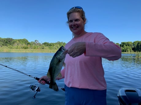 Largemouth Bass fishing in Clearwater, Florida