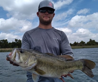 Largemouth Bass fishing in Austin, Texas