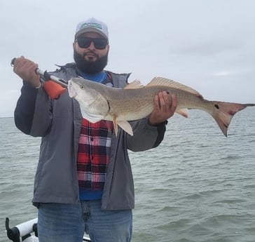 Redfish Fishing in Corpus Christi, Texas