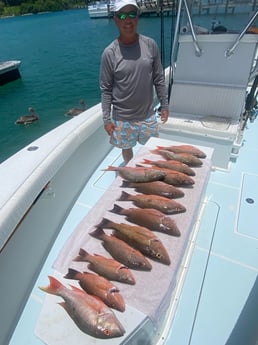 Mangrove Snapper, Mutton Snapper fishing in Jupiter, Florida