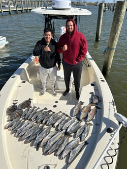 Redfish, Sheepshead, Speckled Trout Fishing in Boothville-Venice, Louisiana