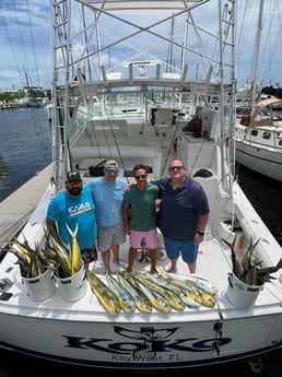 Mahi Mahi Fishing in Key West, Florida