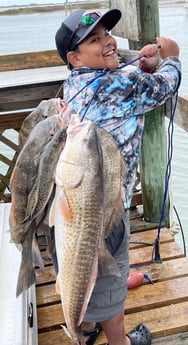 Black Drum fishing in Corpus Christi, Texas