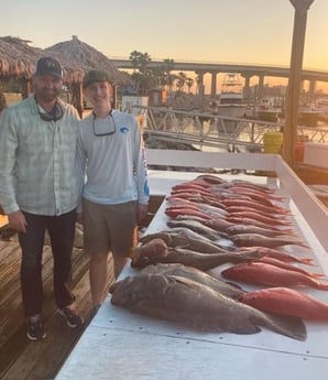 Black Grouper, Red Snapper fishing in Orange Beach, Alabama