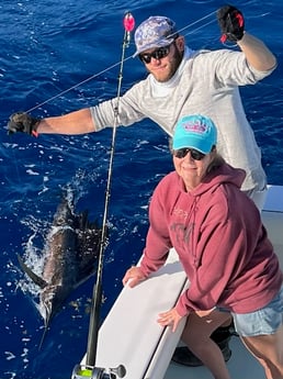 Sailfish Fishing in Key West, Florida