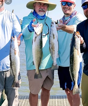 Speckled Trout Fishing in Gulf Shores, Alabama