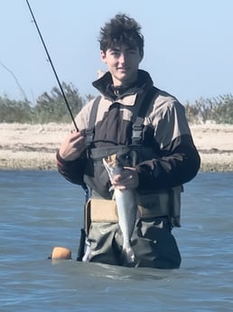 Speckled Trout / Spotted Seatrout fishing in Aransas Pass, Texas