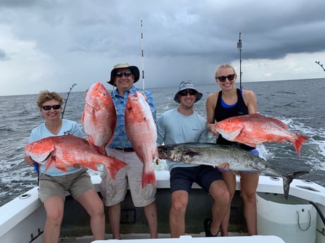 King Mackerel / Kingfish, Red Snapper fishing in Biloxi, Mississippi