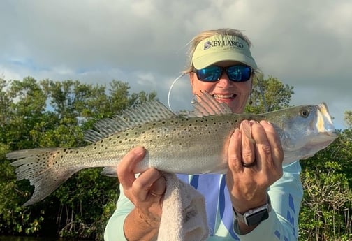 Speckled Trout / Spotted Seatrout fishing in Key Largo, Florida