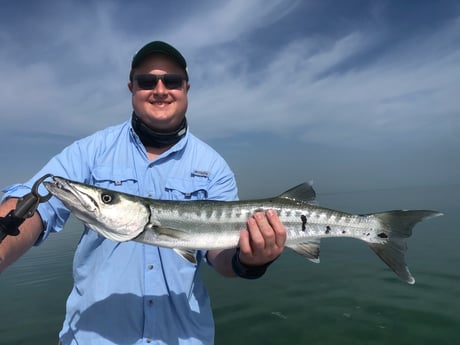 Barracuda fishing in Tavernier, Florida