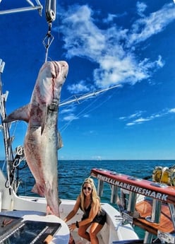 Fishing in Pompano Beach, Florida