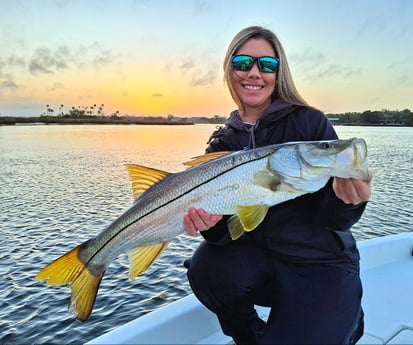 Mahi Mahi Fishing in Crystal River, Florida