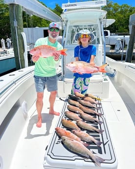 Mangrove Snapper, Mutton Snapper, Yellowtail Snapper Fishing in Islamorada, Florida