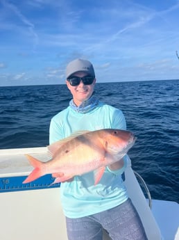 Mutton Snapper Fishing in Jupiter, Florida