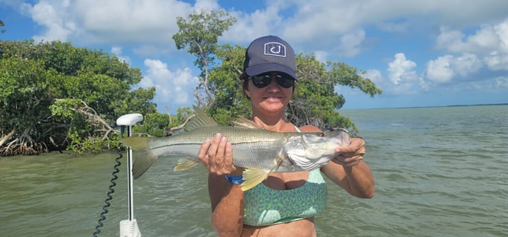 Snook fishing in Key Largo, Florida