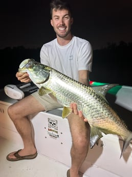 Tarpon Fishing in Fort Lauderdale, Florida