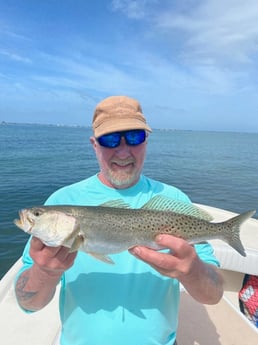 Redfish fishing in Sarasota, Florida