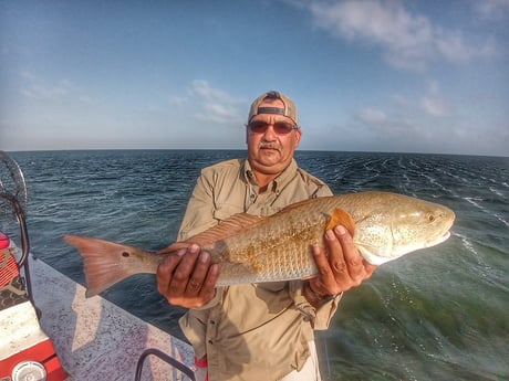 Redfish, Speckled Trout / Spotted Seatrout fishing in Rio Hondo, Texas