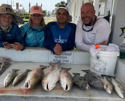 Black Drum, Redfish, Speckled Trout / Spotted Seatrout fishing in Galveston, Texas