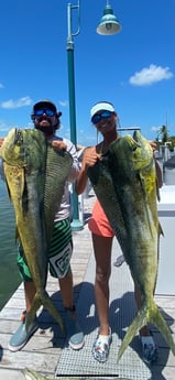 Mahi Mahi / Dorado fishing in Islamorada, Florida