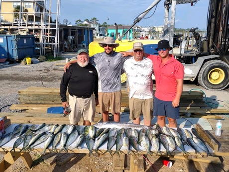 Mahi Mahi / Dorado fishing in Pensacola, Florida