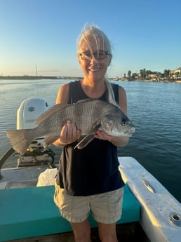 Black Drum Fishing in Corpus Christi, Texas