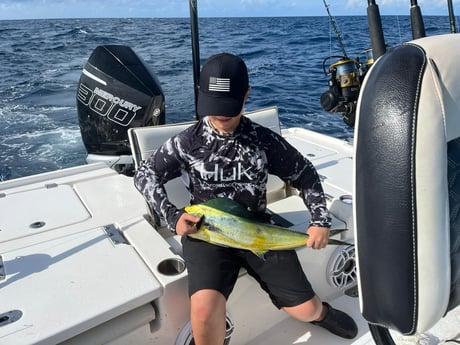 Mahi Mahi Fishing in Key Largo, Florida