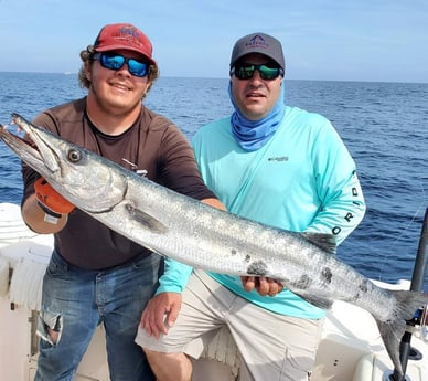 Barracuda fishing in Clearwater, Florida