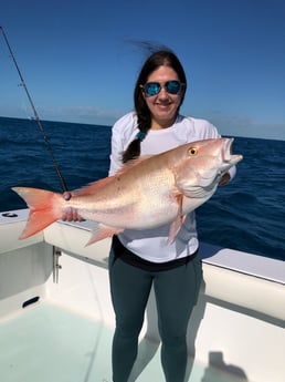 Mutton Snapper Fishing in Key West, Florida