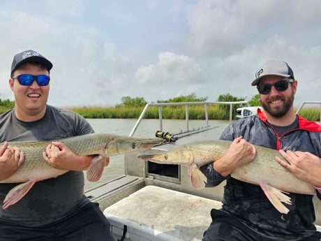 Alligator Gar Fishing in Houston, Texas