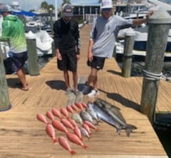 Cobia, Scup, Vermillion Snapper Fishing in Destin, Florida