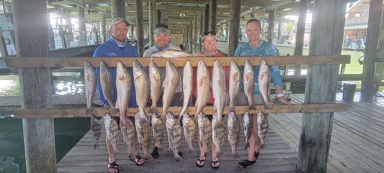 Black Drum, Redfish fishing in Port O&#039;Connor, Texas