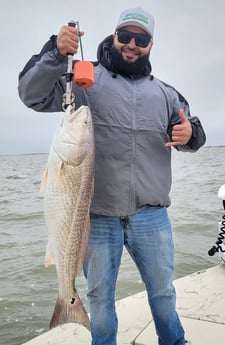 Redfish Fishing in Corpus Christi, Texas