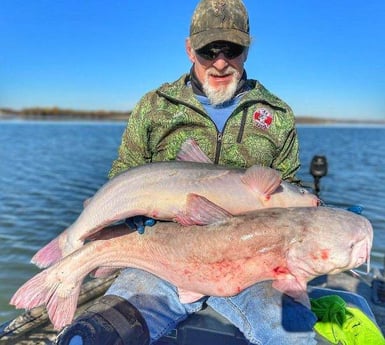 Blue Catfish Fishing in Dallas, Texas