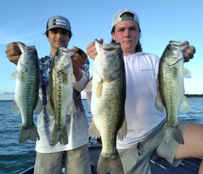 Largemouth Bass fishing in Austin, Texas