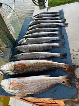 Fishing in Galveston, Texas