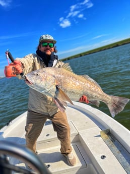 Black Drum Fishing in Galveston, Texas