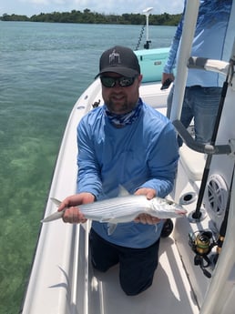 Mutton Snapper fishing in Key West, Florida