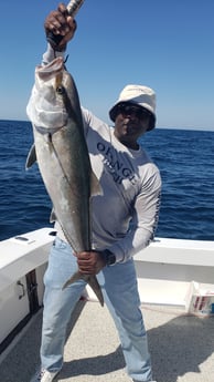 Amberjack fishing in Orange Beach, Alabama