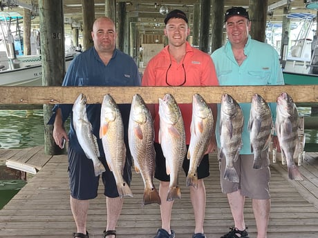 Black Drum, Redfish fishing in Port O&#039;Connor, Texas