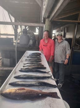 Redfish, Spanish Mackerel, Speckled Trout / Spotted Seatrout Fishing in Crystal River, Florida