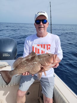 Lane Snapper, Red Grouper fishing in Clearwater, Florida