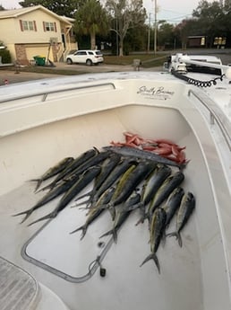 Mahi Mahi / Dorado, Red Snapper, Wahoo Fishing in Santa Rosa Beach, Florida