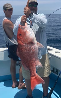 Red Snapper Fishing in Destin, Florida