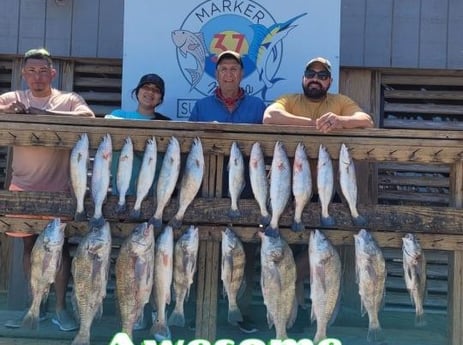 Black Drum, Speckled Trout / Spotted Seatrout Fishing in Corpus Christi, Texas