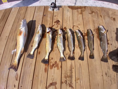 Redfish, Speckled Trout Fishing in South Padre Island, Texas