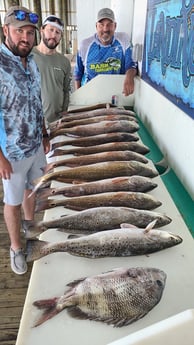 Redfish, Sheepshead fishing in Port O&#039;Connor, Texas