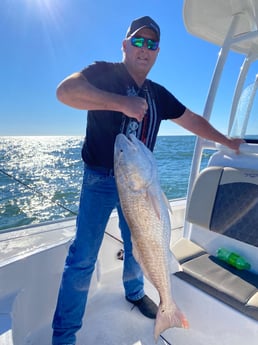 Redfish fishing in Hudson, Florida